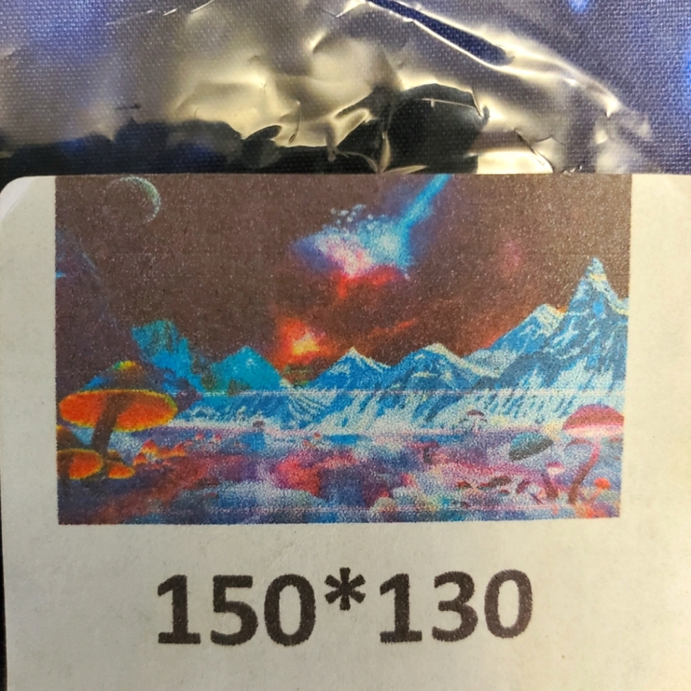 🎁Mushroom Planet Tapestry